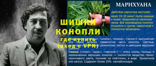 МДПВ Новозыбков