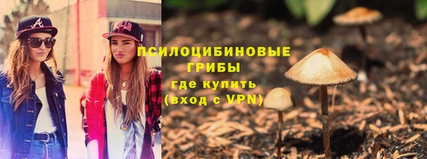 соль ск Алексеевка
